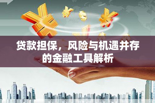 南海贷款担保，风险与机遇并存的金融工具解析