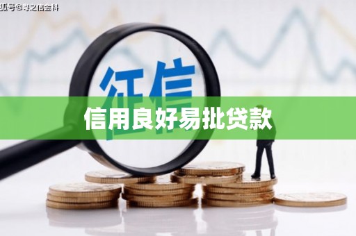 南海信用良好易批贷款