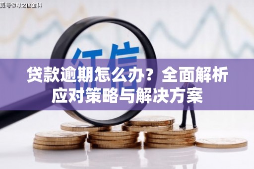 南海贷款逾期怎么办？全面解析应对策略与解决方案