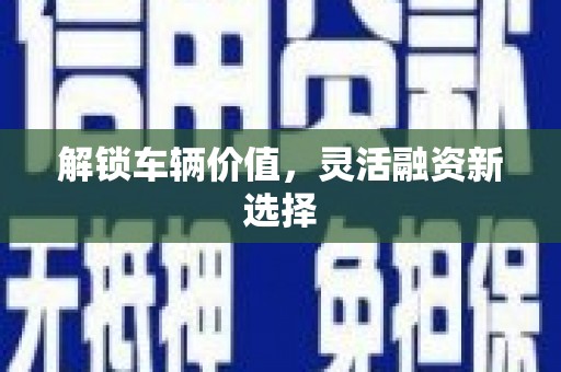 南海解锁车辆价值，灵活融资新选择