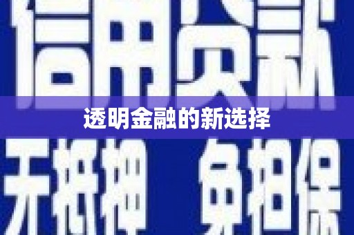 南海透明金融的新选择