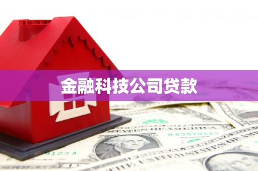 南海金融科技公司贷款