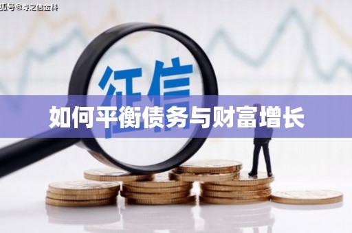 南海如何平衡债务与财富增长