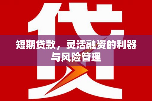 南海短期贷款，灵活融资的利器与风险管理
