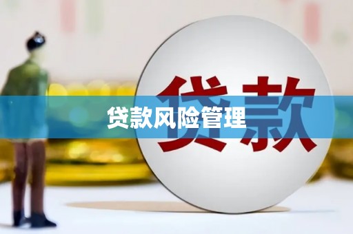 南海贷款风险管理