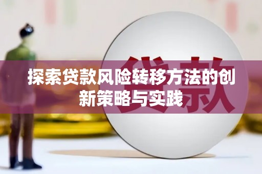 南海探索贷款风险转移方法的创新策略与实践
