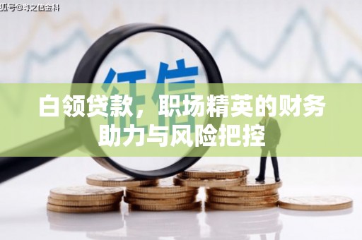 南海白领贷款,职场精英的财务助力与风险把控 南海白领贷款,职场精英的财务助力与风险把控
