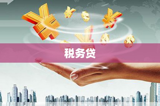 南海税务贷